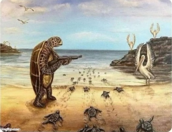 Turtle aiming gun at birds | image tagged in turtle aiming gun at birds | made w/ Imgflip meme maker