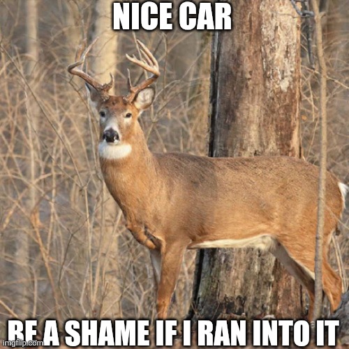 Nice Car Be A Shame If I Ran Into It | NICE CAR; BE A SHAME IF I RAN INTO IT | image tagged in chrisjoines1 | made w/ Imgflip meme maker