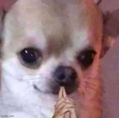 thinking dog | image tagged in thinking dog | made w/ Imgflip meme maker