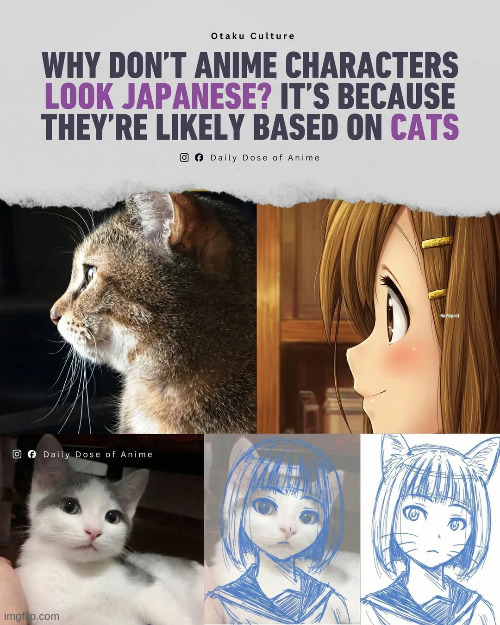 This is a fact. | made w/ Imgflip meme maker