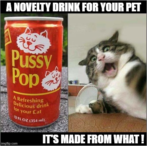 Sounds Interesting ... | A NOVELTY DRINK FOR YOUR PET; IT'S MADE FROM WHAT ! | image tagged in cats,novelty,drink | made w/ Imgflip meme maker