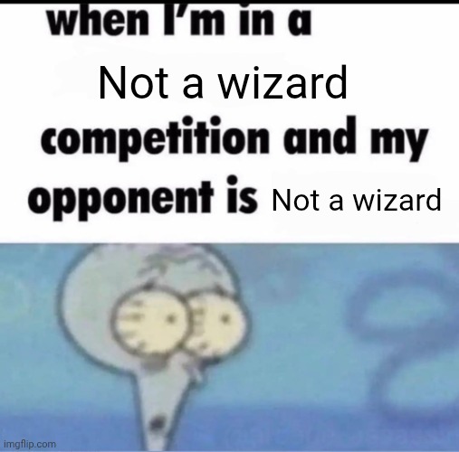 Me when I'm in a .... competition and my opponent is ..... | Not a wizard; Not a wizard | image tagged in me when i'm in a competition and my opponent is | made w/ Imgflip meme maker