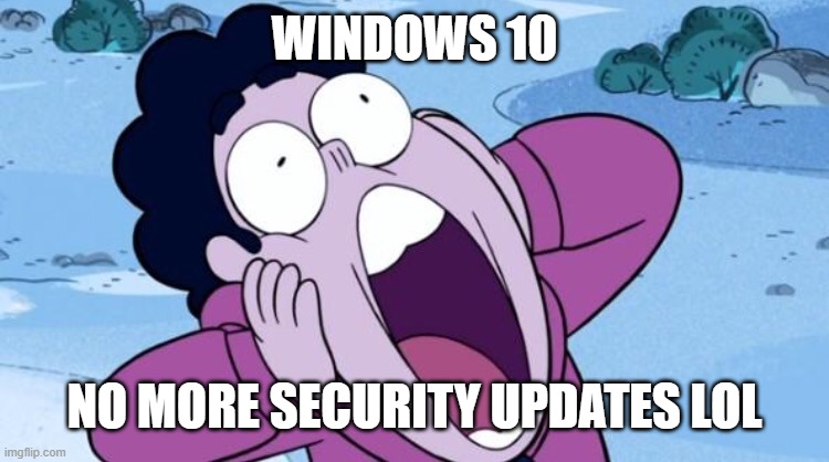 No More Security Updates | WINDOWS 10; NO MORE SECURITY UPDATES LOL | image tagged in steven universe nooo | made w/ Imgflip meme maker