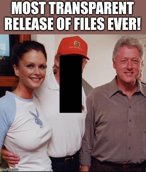 Most transparent ever! | MOST TRANSPARENT RELEASE OF FILES EVER! | image tagged in donald trump,trump,jeffrey epstein,epstein,maga,nevertrump | made w/ Imgflip meme maker