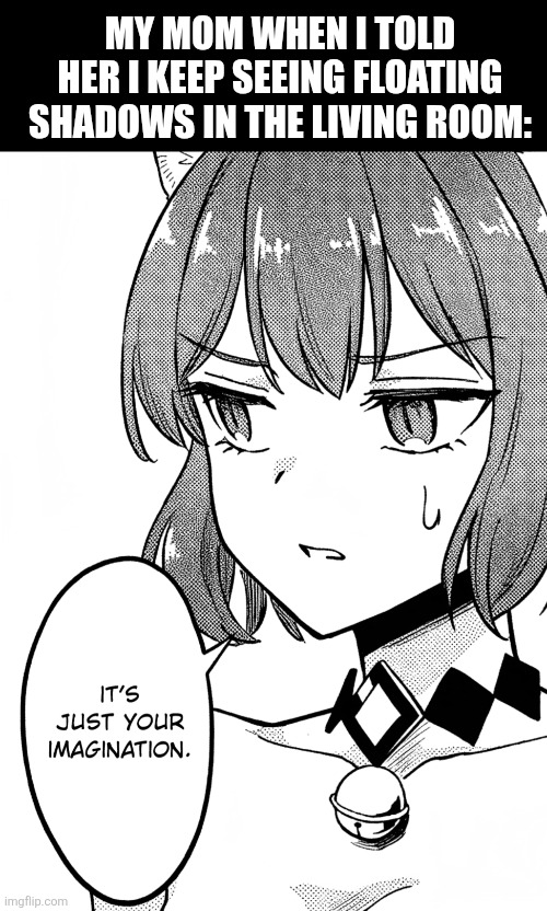 MY MOM WHEN I TOLD HER I KEEP SEEING FLOATING SHADOWS IN THE LIVING ROOM: | image tagged in memes,schizo,child | made w/ Imgflip meme maker