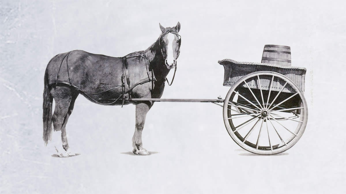 Cart Before The Horse Blank Meme Template