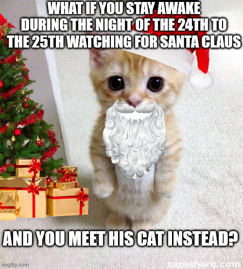What if..? | WHAT IF YOU STAY AWAKE DURING THE NIGHT OF THE 24TH TO THE 25TH WATCHING FOR SANTA CLAUS; AND YOU MEET HIS CAT INSTEAD? | image tagged in memes,cute cat,funny,what if,cat,christmas | made w/ Imgflip meme maker