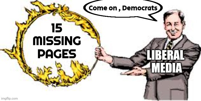 Jumping through hoops | 15 MISSING PAGES | image tagged in jumping through hoops | made w/ Imgflip meme maker