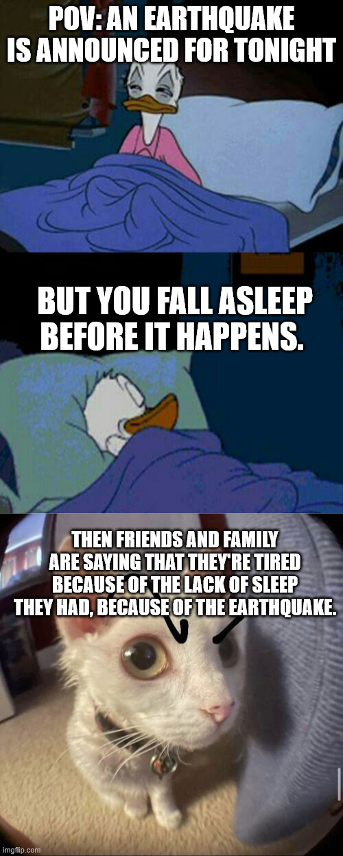 POV: AN EARTHQUAKE IS ANNOUNCED FOR TONIGHT; BUT YOU FALL ASLEEP BEFORE IT HAPPENS. THEN FRIENDS AND FAMILY ARE SAYING THAT THEY'RE TIRED BECAUSE OF THE LACK OF SLEEP THEY HAD, BECAUSE OF THE EARTHQUAKE. | image tagged in sleepy donald duck in bed,funny,earthquake,sleep | made w/ Imgflip meme maker