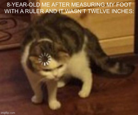I was actually confused | 8-YEAR-OLD ME AFTER MEASURING MY FOOT WITH A RULER AND IT WASN’T TWELVE INCHES: | image tagged in loading cat | made w/ Imgflip meme maker