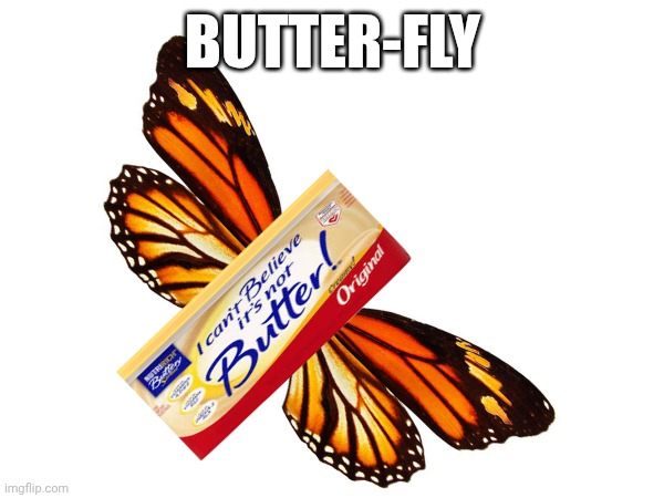 Butter-fly | BUTTER-FLY | image tagged in butter,fly,butter-fly | made w/ Imgflip meme maker