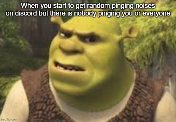 What...? | When you start to get random pinging noises on discord but there is nobody pinging you or everyone | image tagged in confused shrek | made w/ Imgflip meme maker