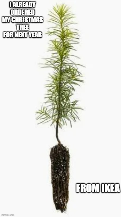 I ordered my Christmas tree from IKEA......for next year !! | I ALREADY ORDERED MY CHRISTMAS TREE FOR NEXT YEAR; FROM IKEA | image tagged in funny,humor,christmas,christmas tree,ikea,play on words | made w/ Imgflip meme maker