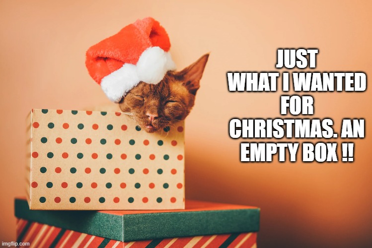 Cat got just what she wanted for Christmas......An empty box. | JUST WHAT I WANTED FOR CHRISTMAS. AN EMPTY BOX !! | image tagged in cat,kittens,funny,humor,christmas,santa claus | made w/ Imgflip meme maker
