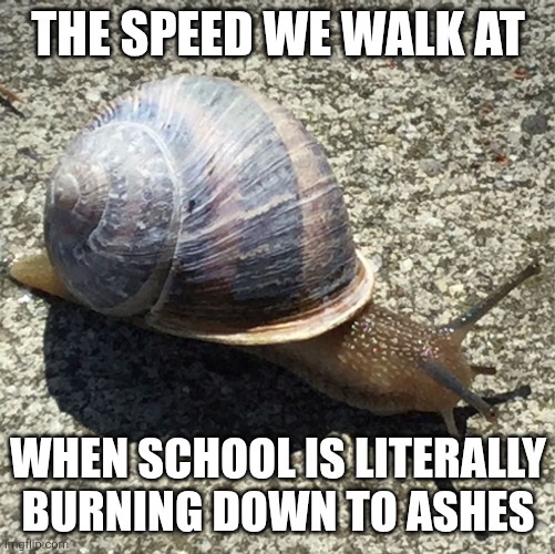 Slow mo activate! | THE SPEED WE WALK AT; WHEN SCHOOL IS LITERALLY BURNING DOWN TO ASHES | image tagged in slow as a snail,slow,school | made w/ Imgflip meme maker