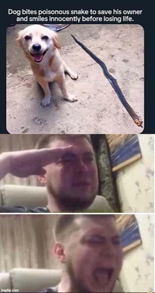 it's enough to make a grown man cry (upvote to give herbert points) | image tagged in crying salute | made w/ Imgflip meme maker