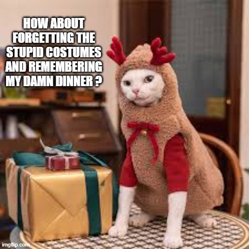 Cat wants owner to forget the Christmas costumes and remember her dinner. | HOW ABOUT FORGETTING THE STUPID COSTUMES AND REMEMBERING MY DAMN DINNER ? | image tagged in cat,kittens,christmas,humor,funny,santa claus | made w/ Imgflip meme maker