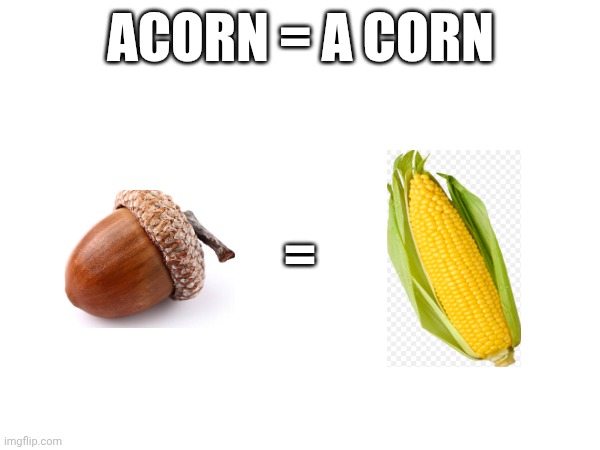 A corn | ACORN = A CORN; = | image tagged in acorn,a corn | made w/ Imgflip meme maker