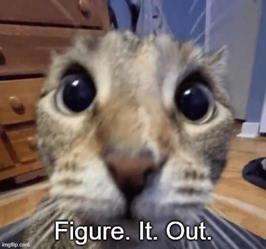 Holy moly | Figure. It. Out. | image tagged in holy moly | made w/ Imgflip meme maker