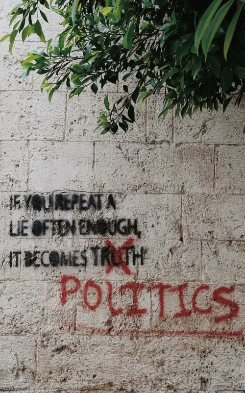 Politics | image tagged in truth,politics,lies,reality,denial | made w/ Imgflip meme maker