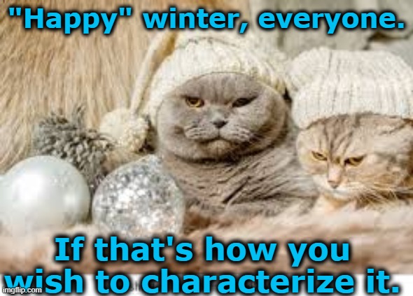 Grumpy Cat- Joyless Winter | "Happy" winter, everyone. If that's how you wish to characterize it. | image tagged in grumpy cat,funny cat memes,funny animals,funny animal meme,winter is here,solstice | made w/ Imgflip meme maker