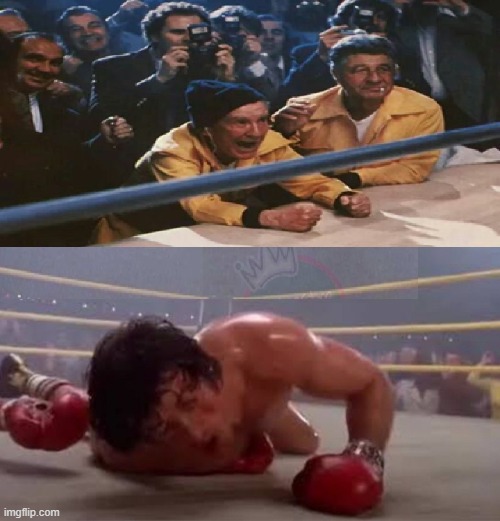 rocky1 | image tagged in rocky,box | made w/ Imgflip meme maker