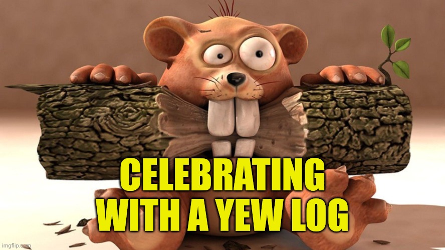 Between meal snack | CELEBRATING WITH A YEW LOG | image tagged in between meal snack | made w/ Imgflip meme maker