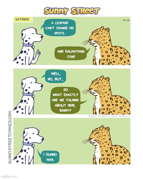 image tagged in comics,sunny street,leopard,dalmation,spots | made w/ Imgflip meme maker