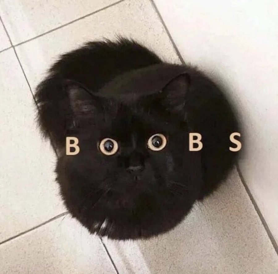 BOOBS Blank Meme Template