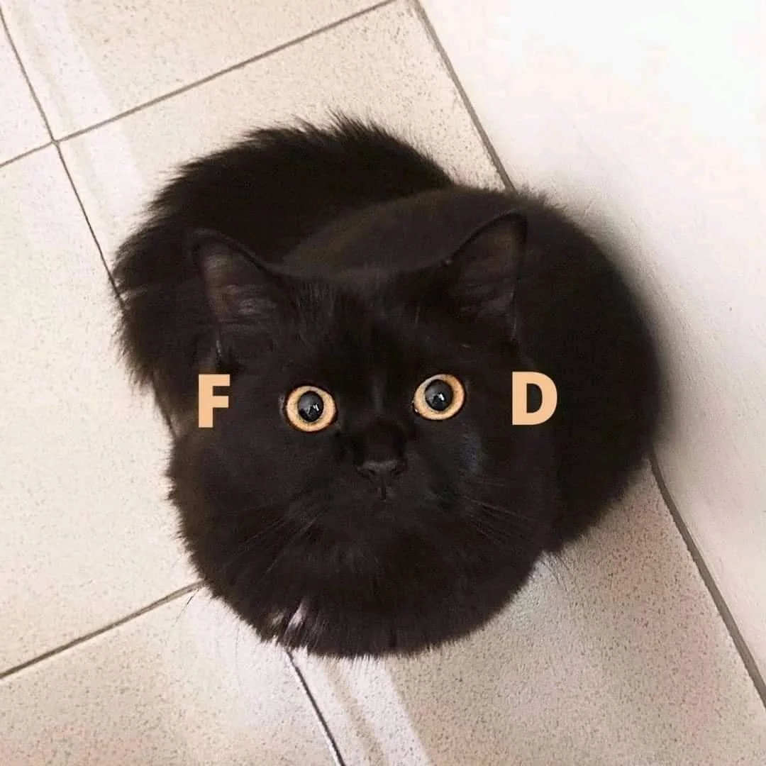 FOOD Blank Meme Template