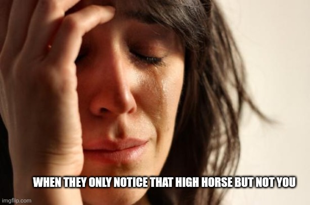 First World Problems | WHEN THEY ONLY NOTICE THAT HIGH HORSE BUT NOT YOU | image tagged in memes,first world problems,horse,sad | made w/ Imgflip meme maker