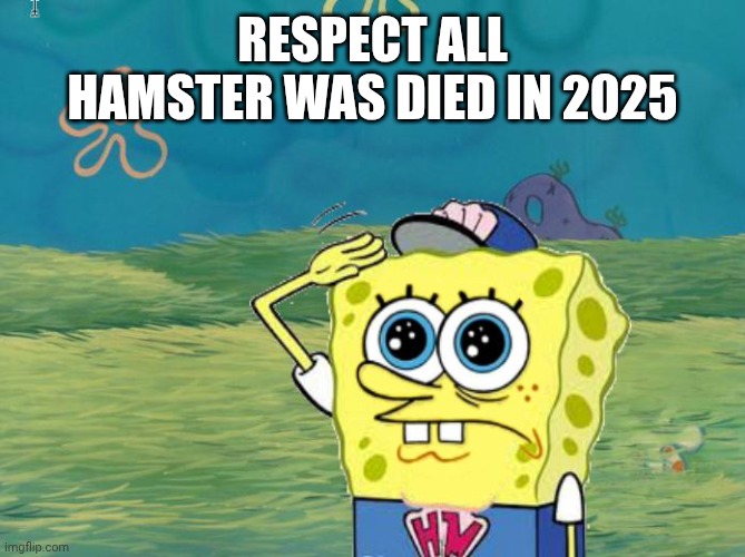Spongebob salute | RESPECT ALL HAMSTER WAS DIED IN 2025 | image tagged in spongebob salute | made w/ Imgflip meme maker