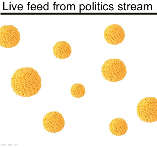 . | Live feed from politics stream | made w/ Imgflip meme maker