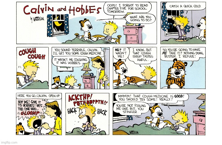 image tagged in calvin and hobbes,comics | made w/ Imgflip meme maker