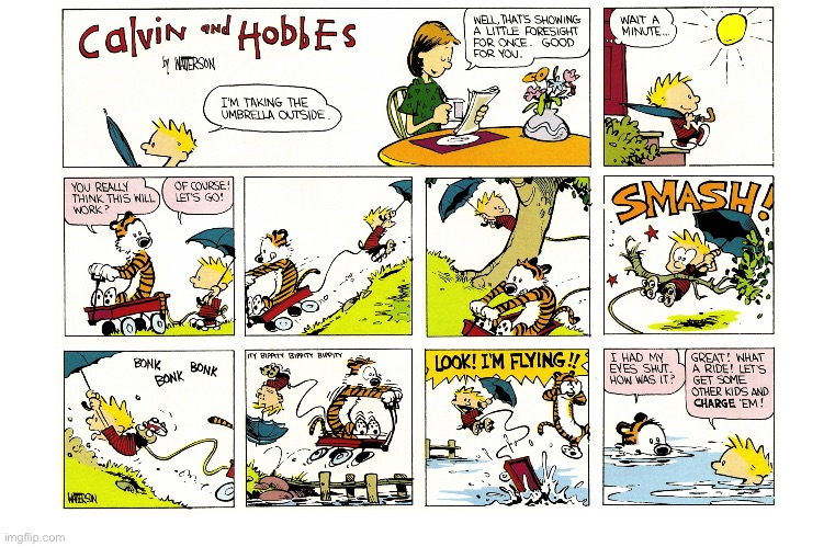 image tagged in calvin and hobbes,comics | made w/ Imgflip meme maker