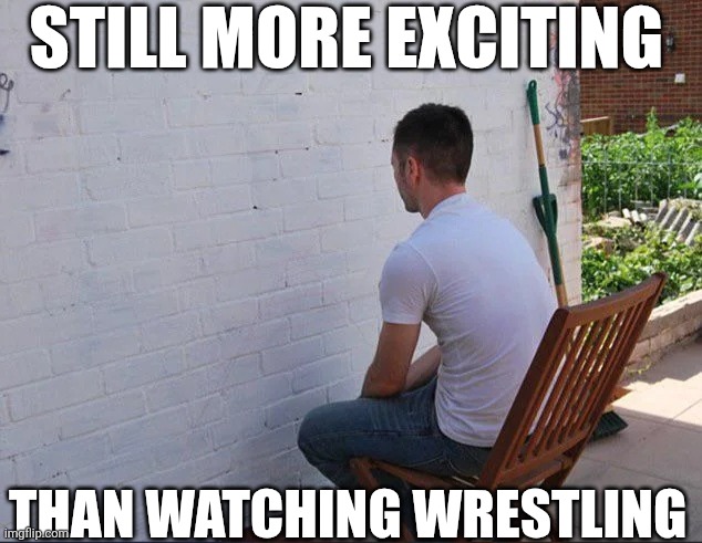 Still More Exciting Than Watching Wrestling | STILL MORE EXCITING; THAN WATCHING WRESTLING | image tagged in chrisjoines1 | made w/ Imgflip meme maker