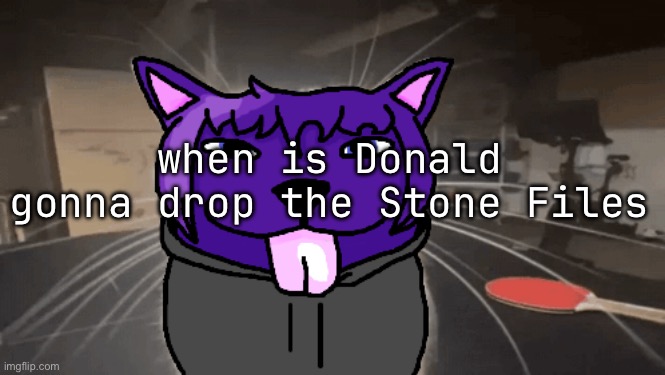 tge silly | when is Donald gonna drop the Stone Files | image tagged in tge silly | made w/ Imgflip meme maker