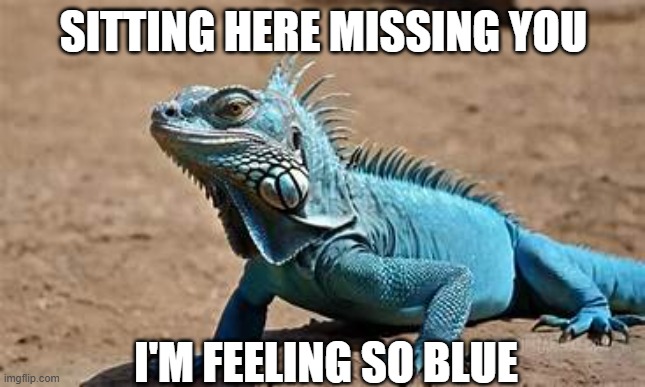 Feeling So Blue | SITTING HERE MISSING YOU; I'M FEELING SO BLUE | image tagged in memories,missing someone | made w/ Imgflip meme maker