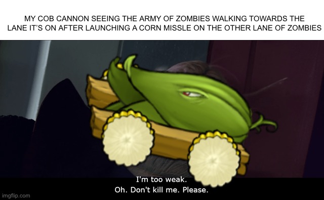 Why you should use Garlic and Tall-Nut for Cob Cannon: | MY COB CANNON SEEING THE ARMY OF ZOMBIES WALKING TOWARDS THE LANE IT’S ON AFTER LAUNCHING A CORN MISSLE ON THE OTHER LANE OF ZOMBIES | image tagged in plants vs zombies,pvz | made w/ Imgflip meme maker
