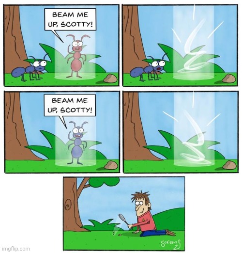 Beam me up Scotty | image tagged in scotty,insect,beam,comics,comics/cartoons,beam me up scotty | made w/ Imgflip meme maker