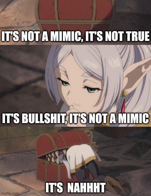 Frieren not a mimic | IT'S NOT A MIMIC, IT'S NOT TRUE; IT'S BULLSHIT, IT'S NOT A MIMIC; IT'S  NAHHHT | image tagged in anime | made w/ Imgflip meme maker