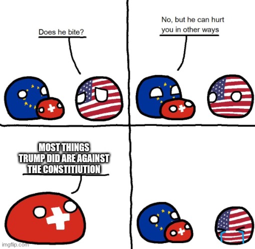 Switzerlandball hurts usa in other ways | MOST THINGS TRUMP DID ARE AGAINST THE CONSTITIUTION | image tagged in switzerlandball hurts usa in other ways | made w/ Imgflip meme maker