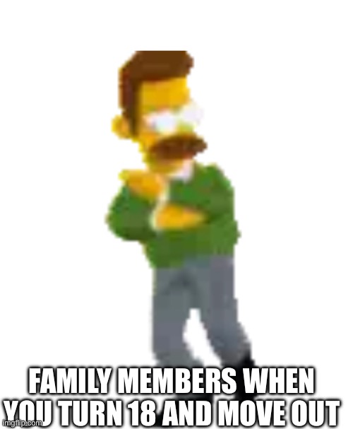 Ned Flanders dance | FAMILY MEMBERS WHEN YOU TURN 18 AND MOVE OUT | image tagged in parents | made w/ Imgflip meme maker
