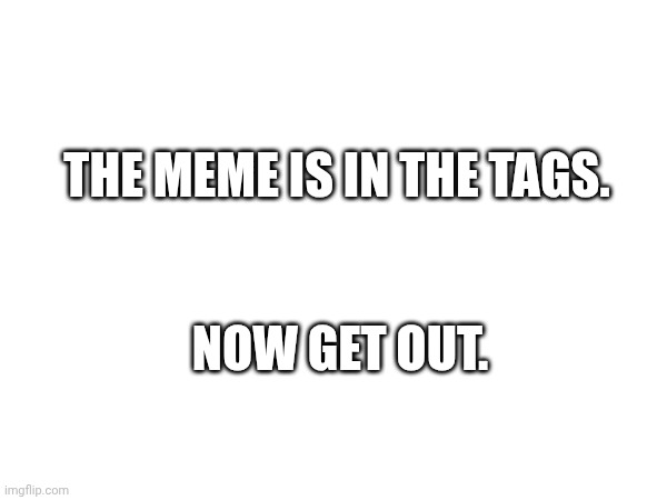 Image Title | THE MEME IS IN THE TAGS. NOW GET OUT. | image tagged in you,can,only,have,six,tags | made w/ Imgflip meme maker