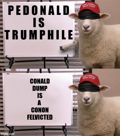 DONALD TRUMP IS A CONVICTED FELON | P E D O N A L D
I S
T R U M P H I L E; CONALD
DUMP
IS
A 
CONON
FELVICTED | image tagged in trump,maga,felon,sexual assault,insurrection,jim halpert explains | made w/ Imgflip meme maker