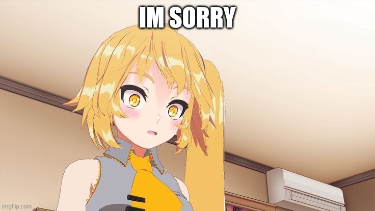 IM SORRY | made w/ Imgflip meme maker