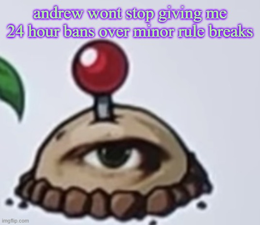 post in msmg | andrew wont stop giving me 24 hour bans over minor rule breaks | image tagged in the potato | made w/ Imgflip meme maker