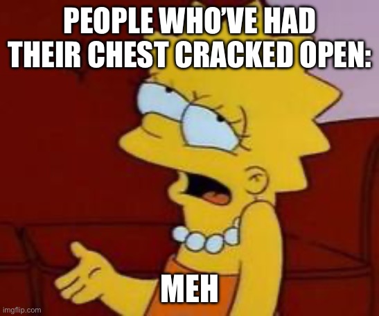 Meh | PEOPLE WHO’VE HAD THEIR CHEST CRACKED OPEN: MEH | image tagged in meh | made w/ Imgflip meme maker