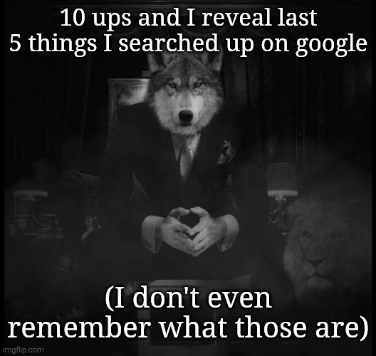 There might be something interesting but knowing that my account's in a family group, prolly not | 10 ups and I reveal last 5 things I searched up on google; (I don't even remember what those are) | image tagged in wolf on a chair | made w/ Imgflip meme maker