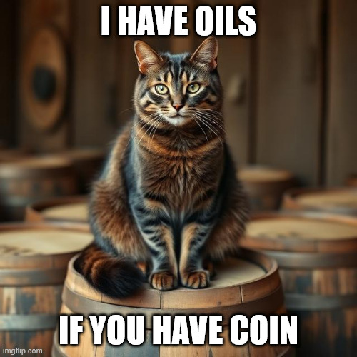 Cat on a Barrel | I HAVE OILS; IF YOU HAVE COIN | image tagged in oil,cat,barrel | made w/ Imgflip meme maker